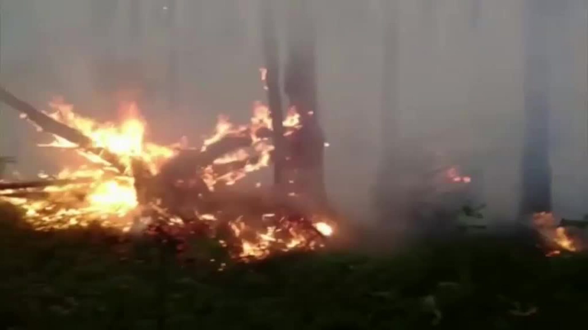 La ONU confirma la dramática subida de la temperatura en el Ártico: 38 grados