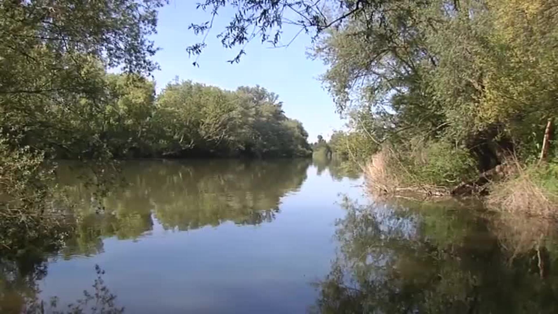 La lucha contra la basuraleza