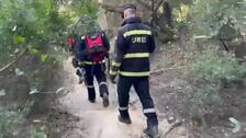 Continúan los rastreos en la 'zona cero' del brote de peste porcina detectada en la sierra barcelonesa de Collserola