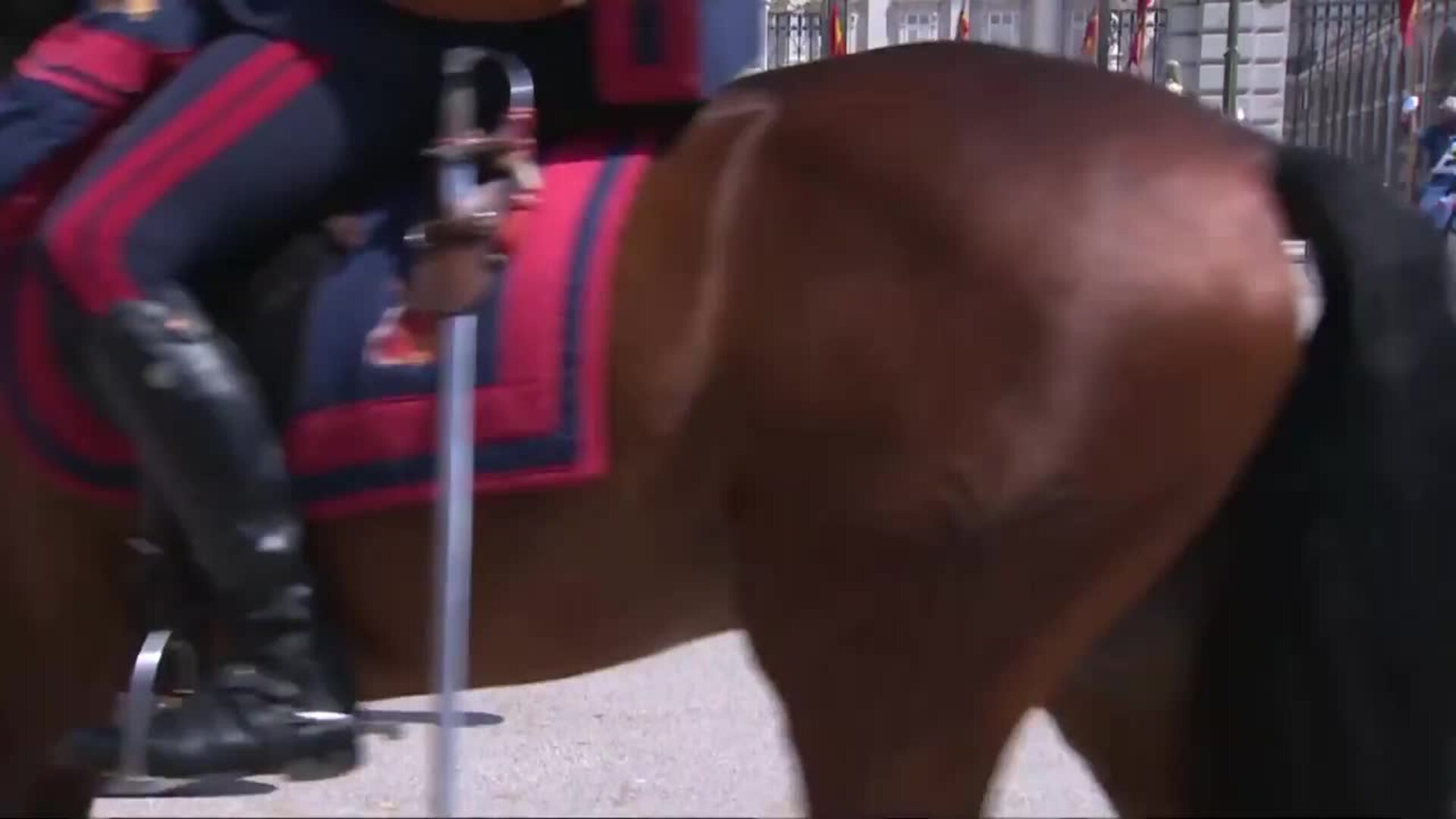 Vuelve el cambio de Guardia al Palacio Real tras 14 meses sin celebrarse