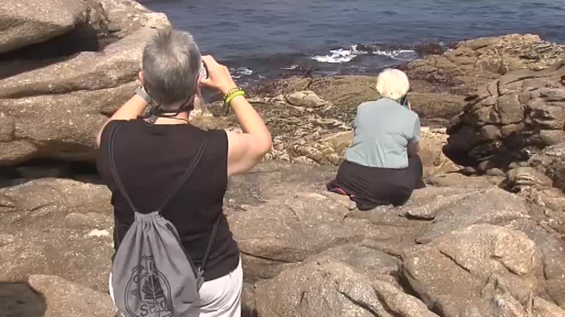 Se abren las costas para los percebeiros