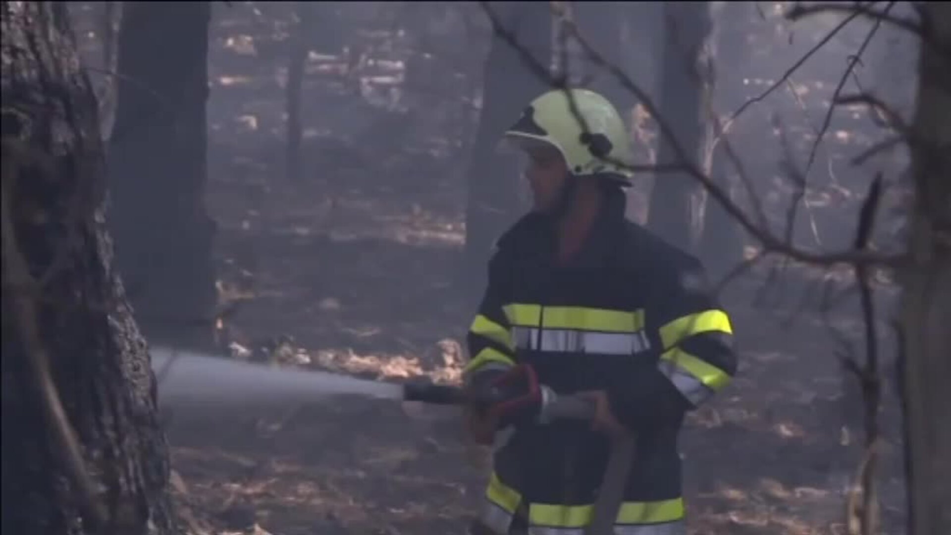 Bomberos logran sofocar el incendio forestal de Croacia