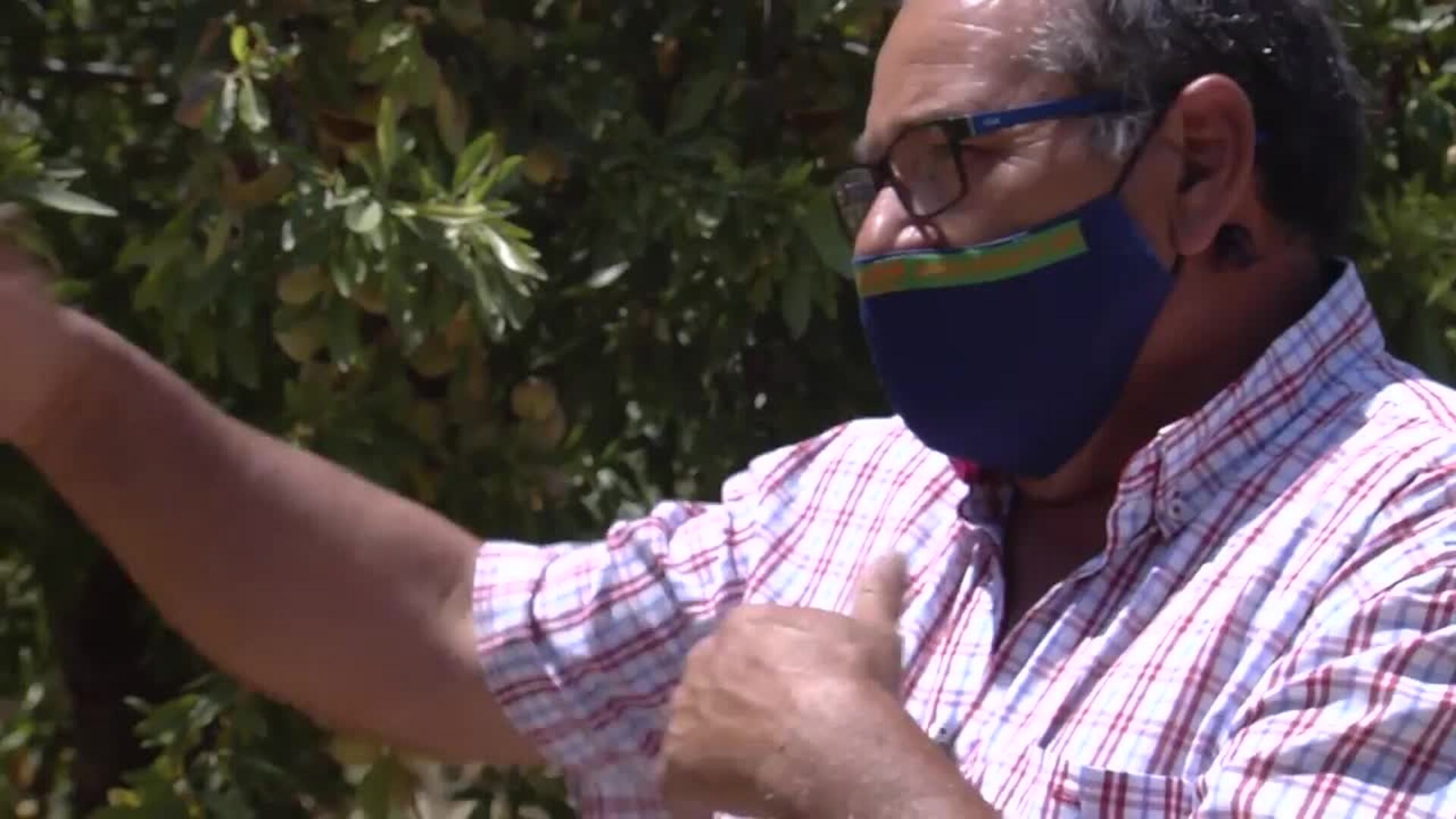 El campo español quiere seguir siendo la despensa de Europa pese a la incertidumbre post-Covid-19