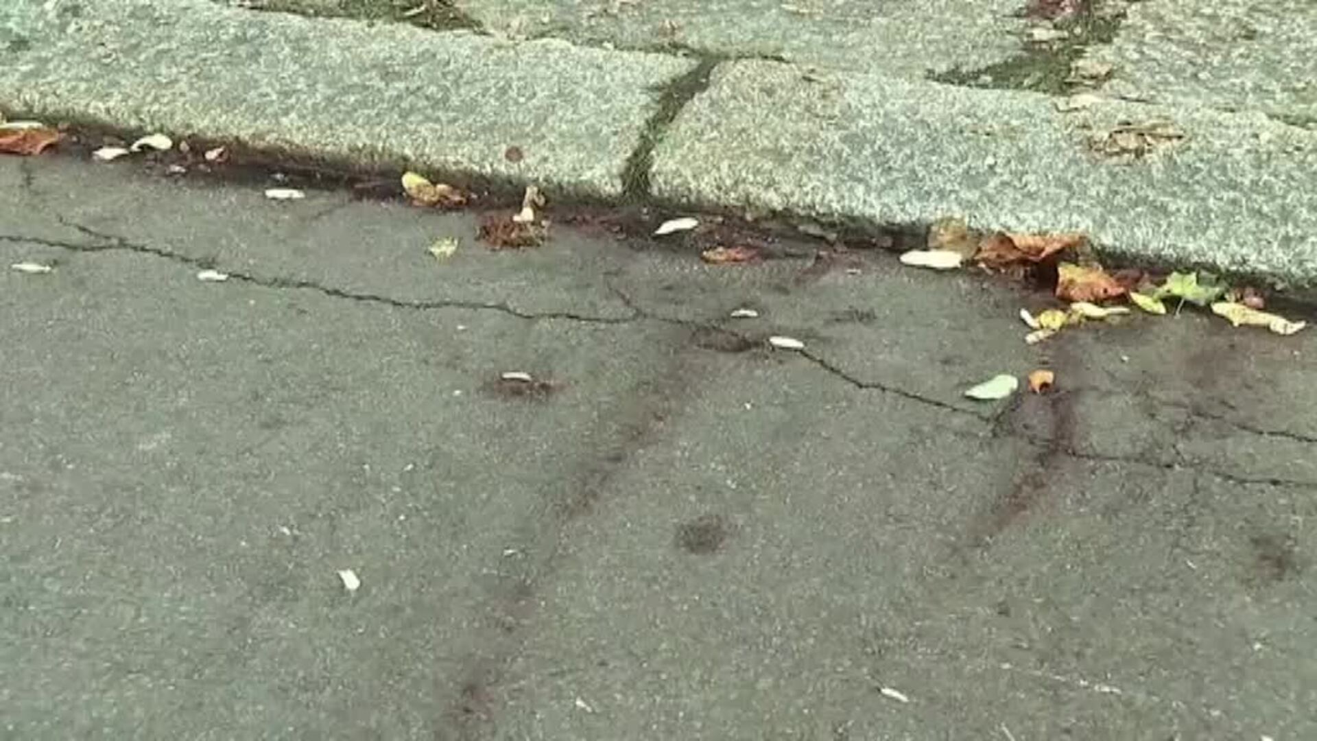 Se realiza un homenaje en Halle por las víctimas del tiroteo del pasado miércoles