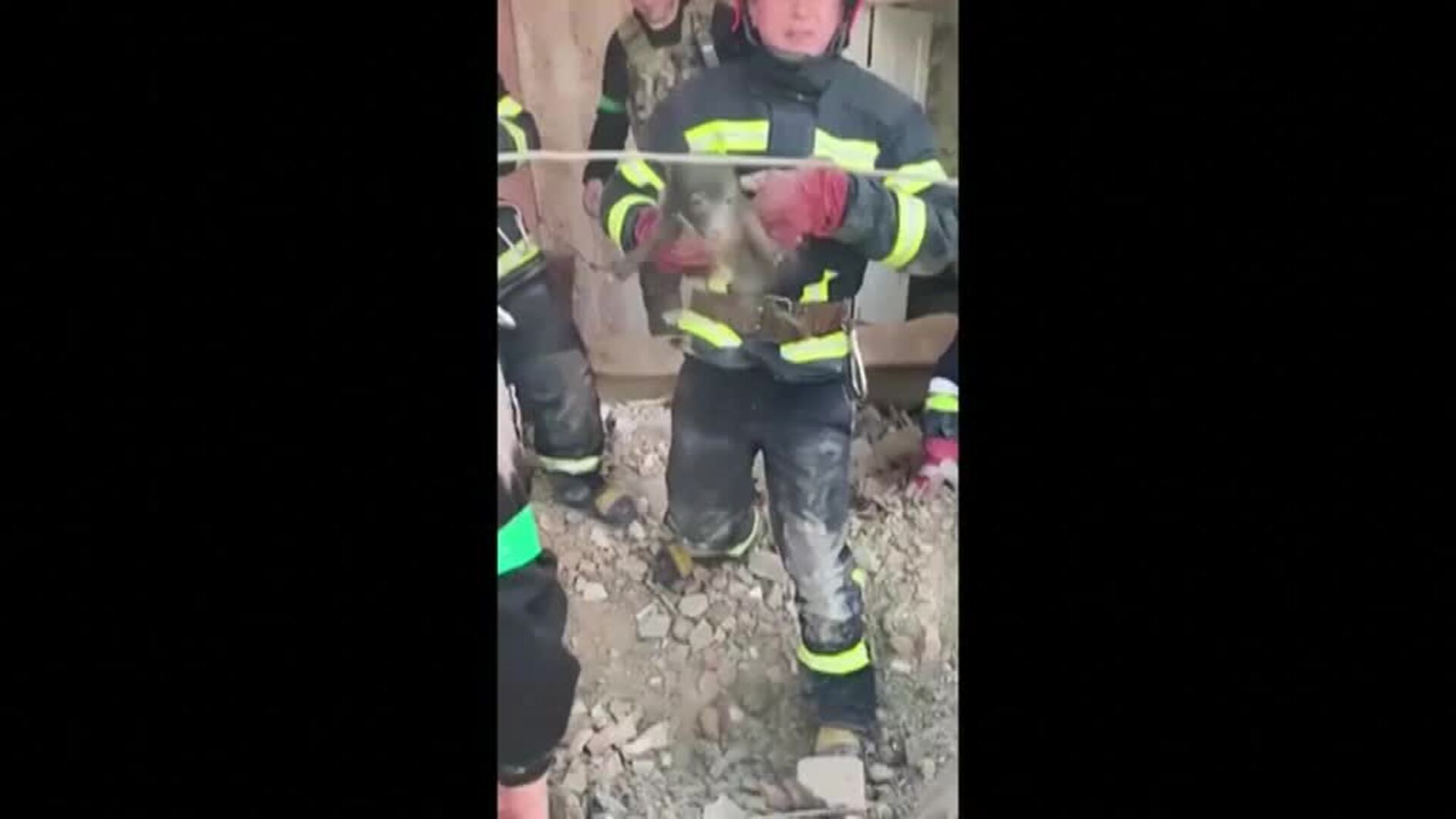 Rescatan un cachorro bajo los escombros de una vivienda en Ucrania