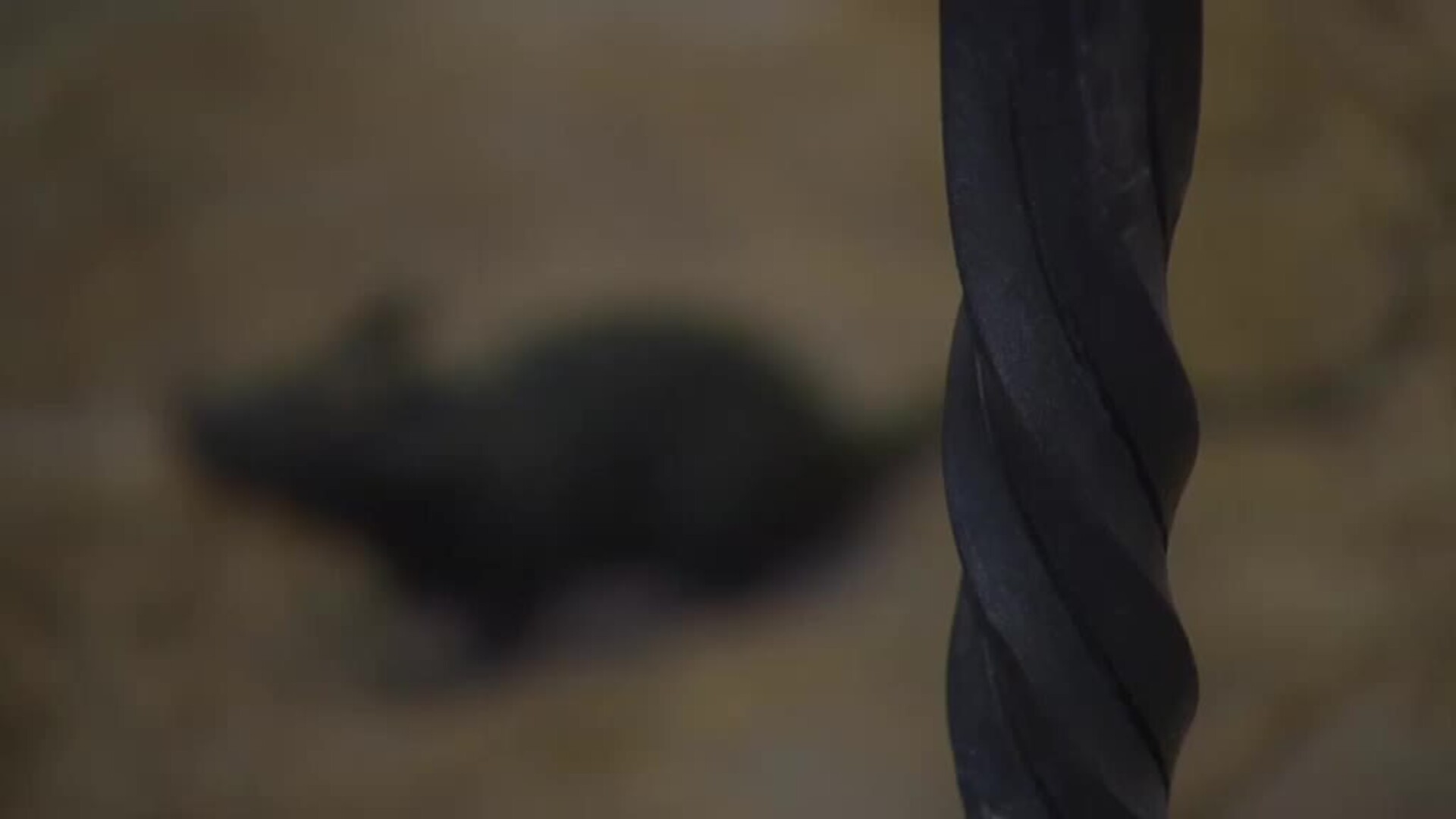 Castilla y León encierra tesoros turísticos únicos