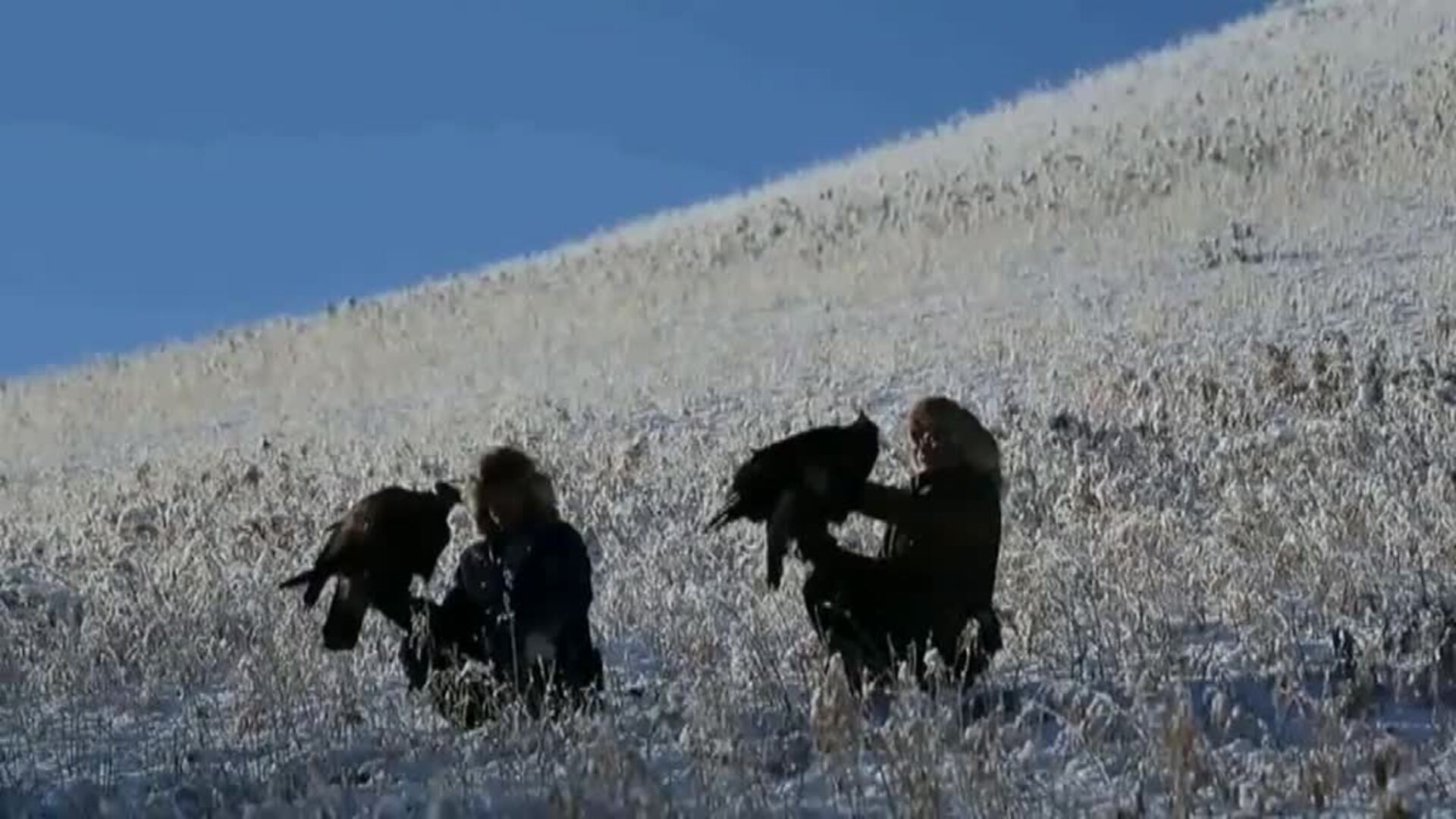 Concurso de cetrería en Kazajistán para preservar una tradición de caza muy antigua