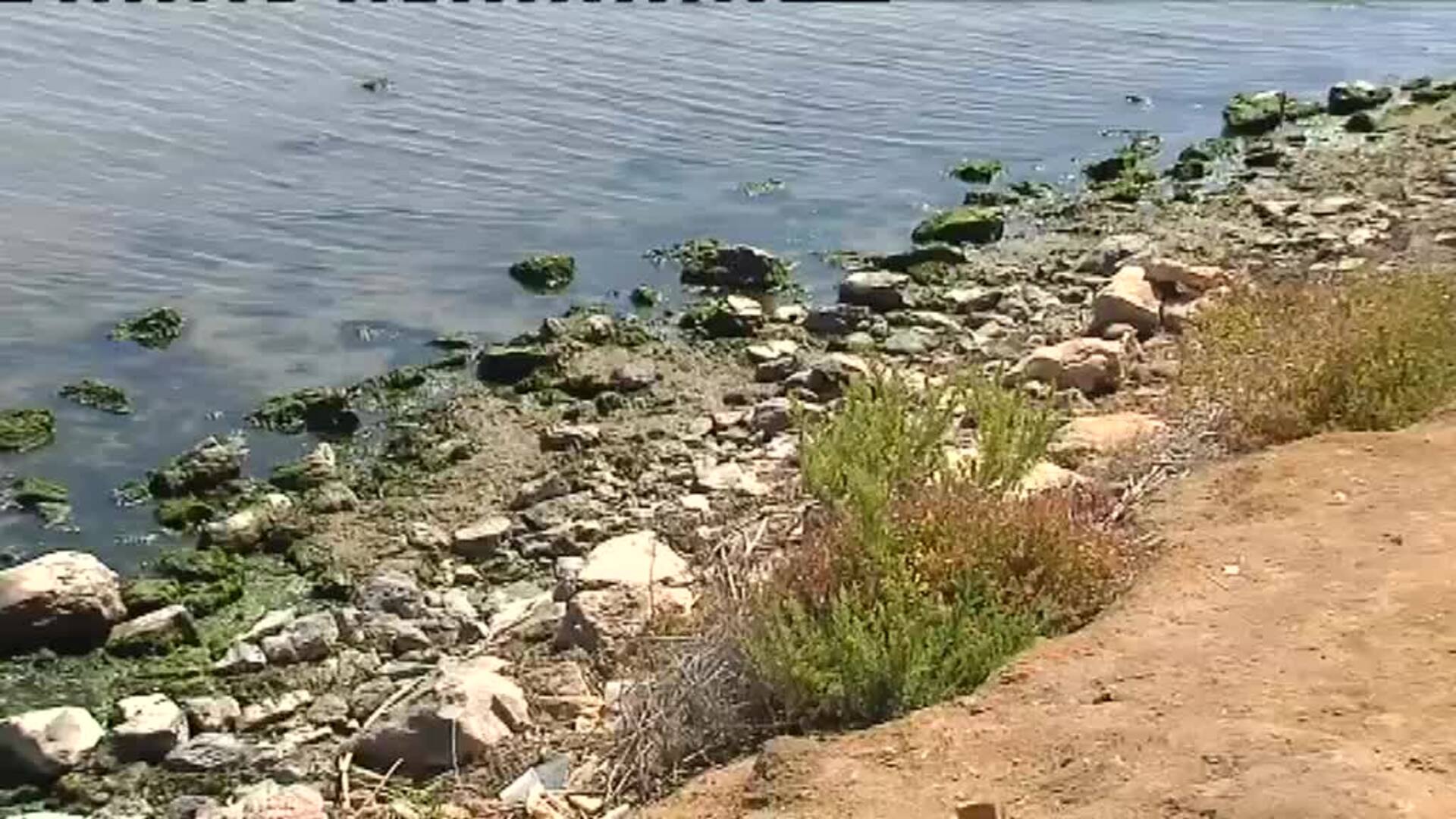 El Gobierno de Murcia endurece las sanciones a los agricultores