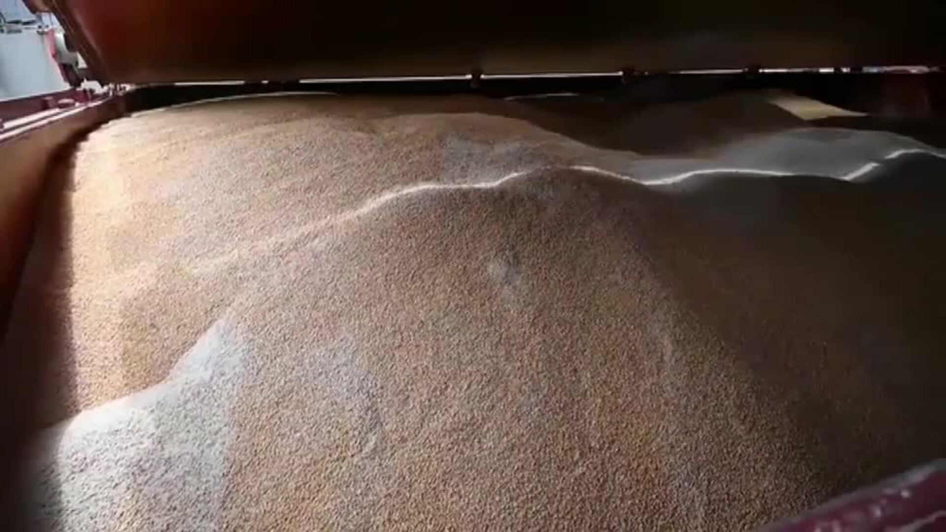 La guerra en Ucrania amenaza con la peor crisis alimentaria mundial en décadas