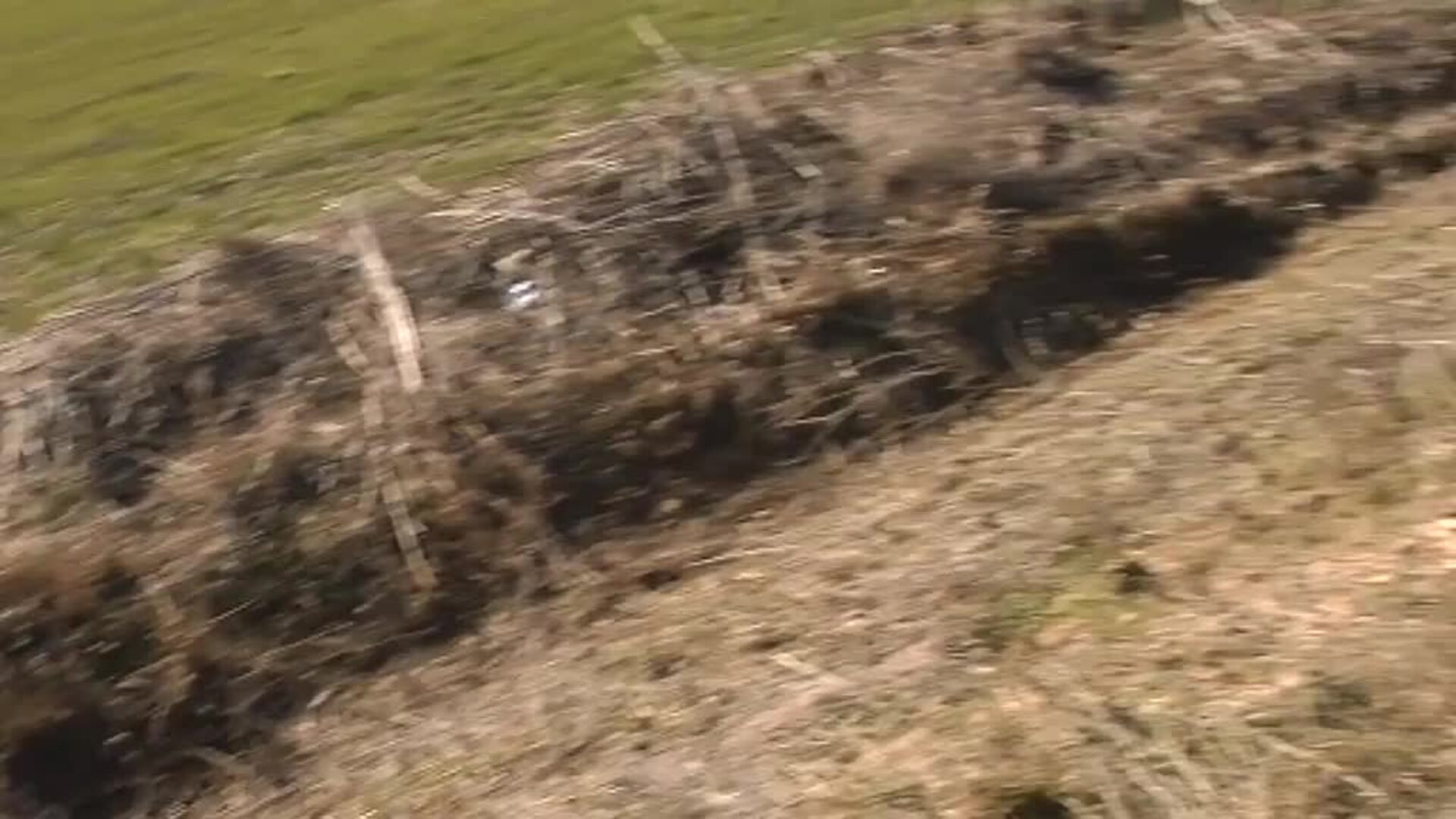 Esther López falleció el día de su desaparición, hace tres semanas