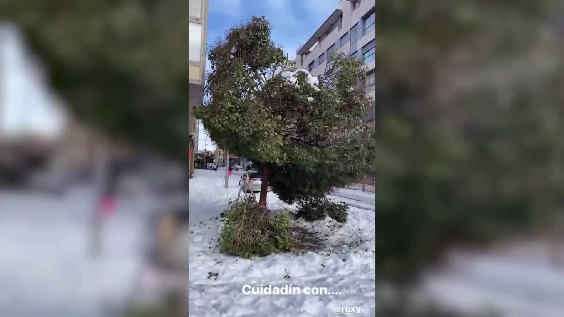 Maria Castro avisa del problema que supone el hielo en Madrid