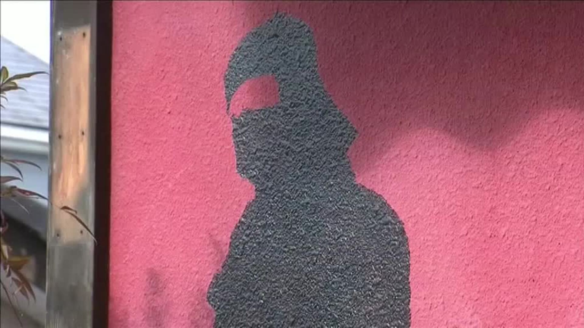 Los ninjas tienen ya su universidad