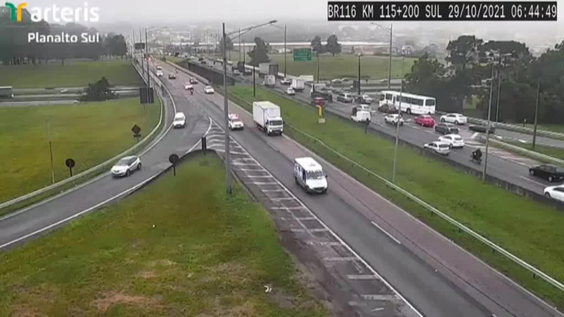 Un loro se hace viral en Brasil saludando a las cámaras de tráfico