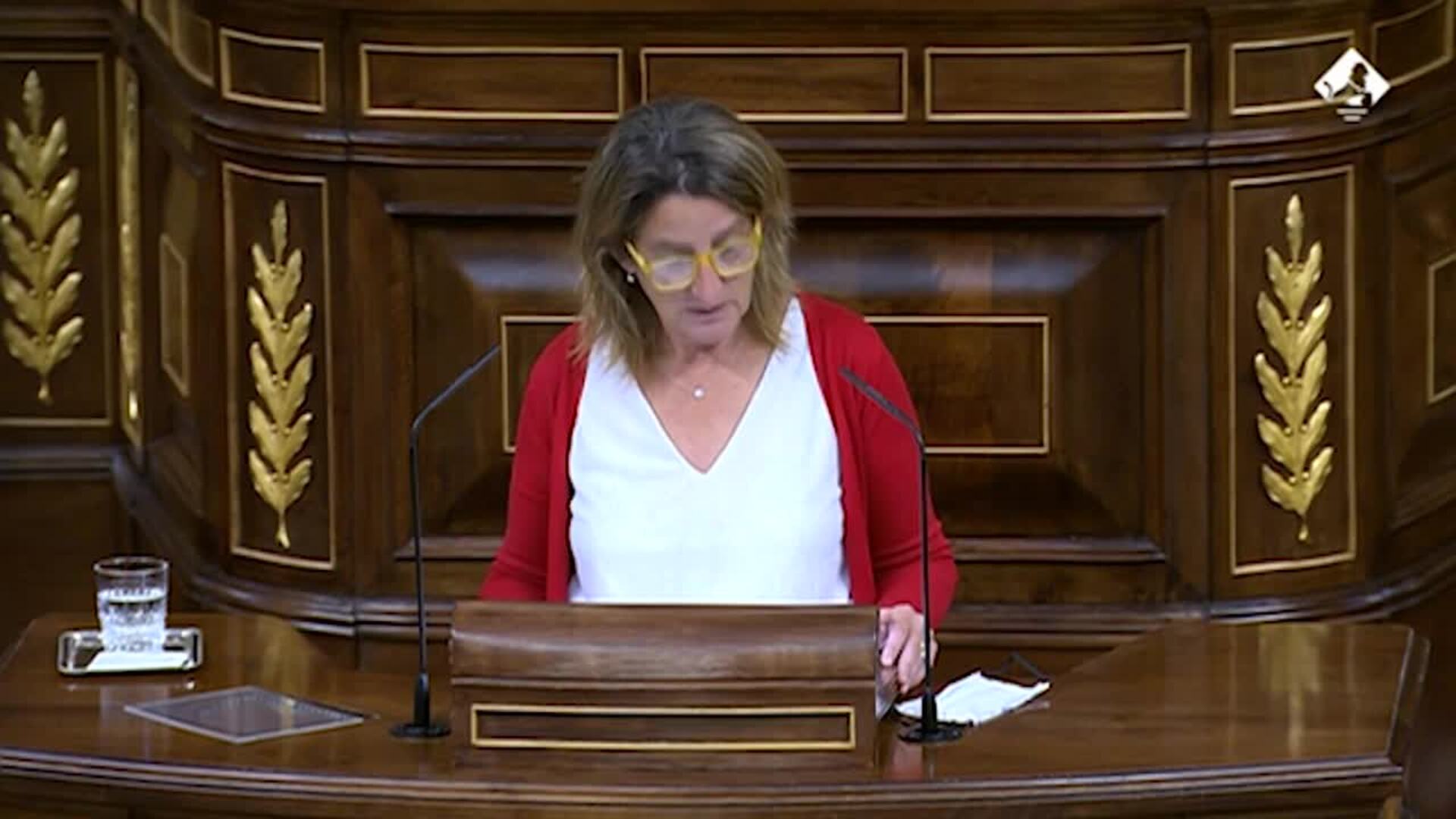 Teresa Ribera, en el Congreso