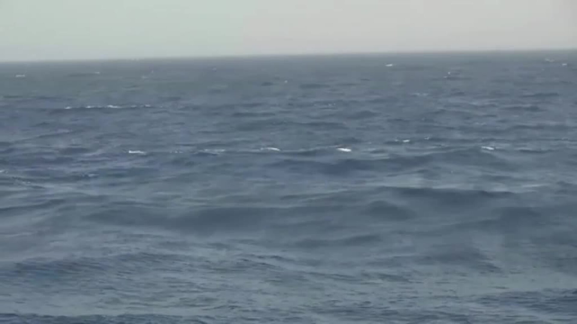 Trágico naufragio de inmigrantes frente a las costas de Libia