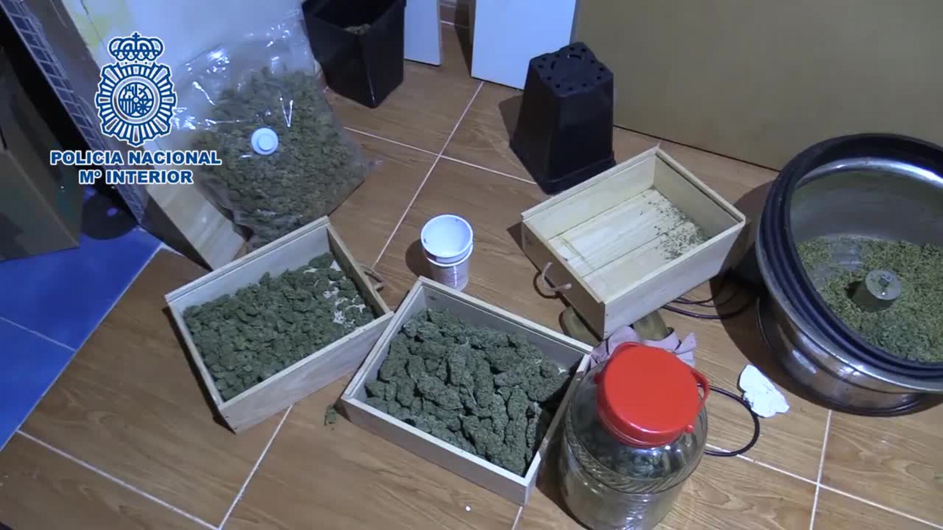 Incautados 19 kilos de marihuana requisados en un chalé en Madrid