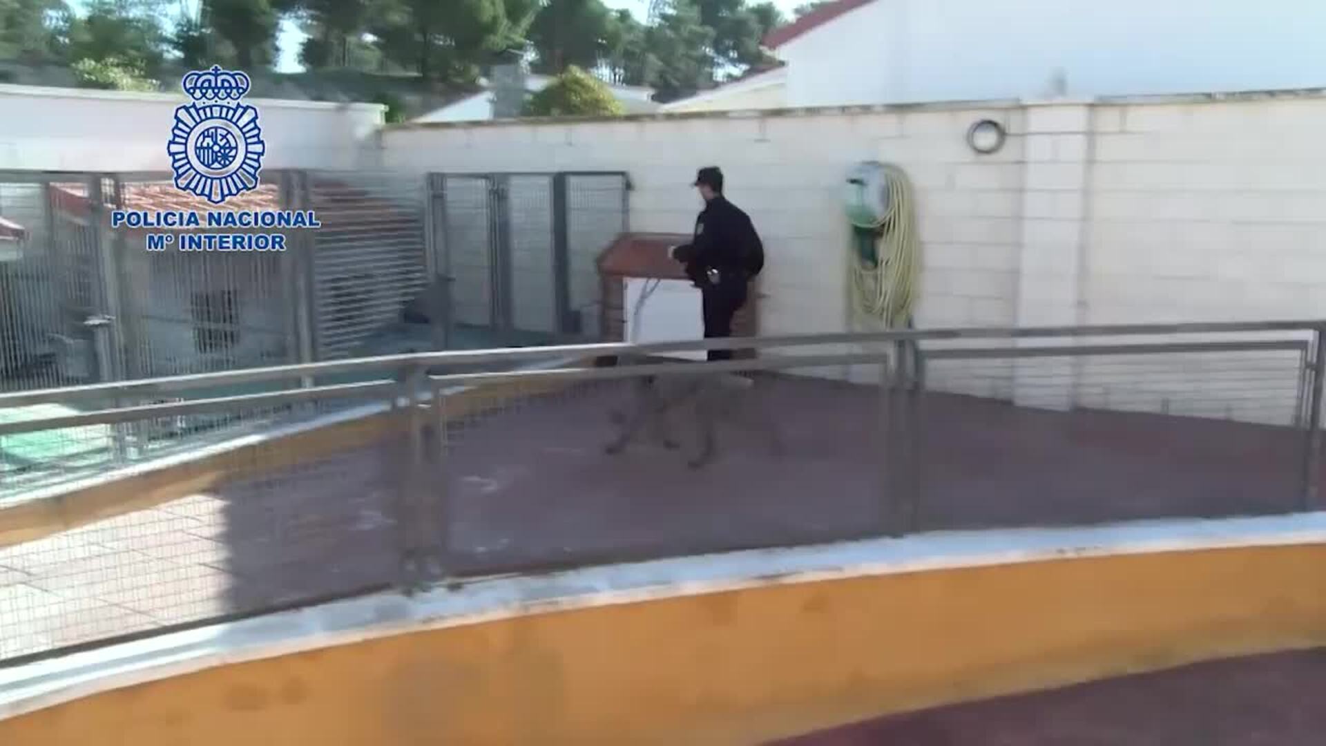 Treinta detenidos en una investigación contra un grupo de proxenetas