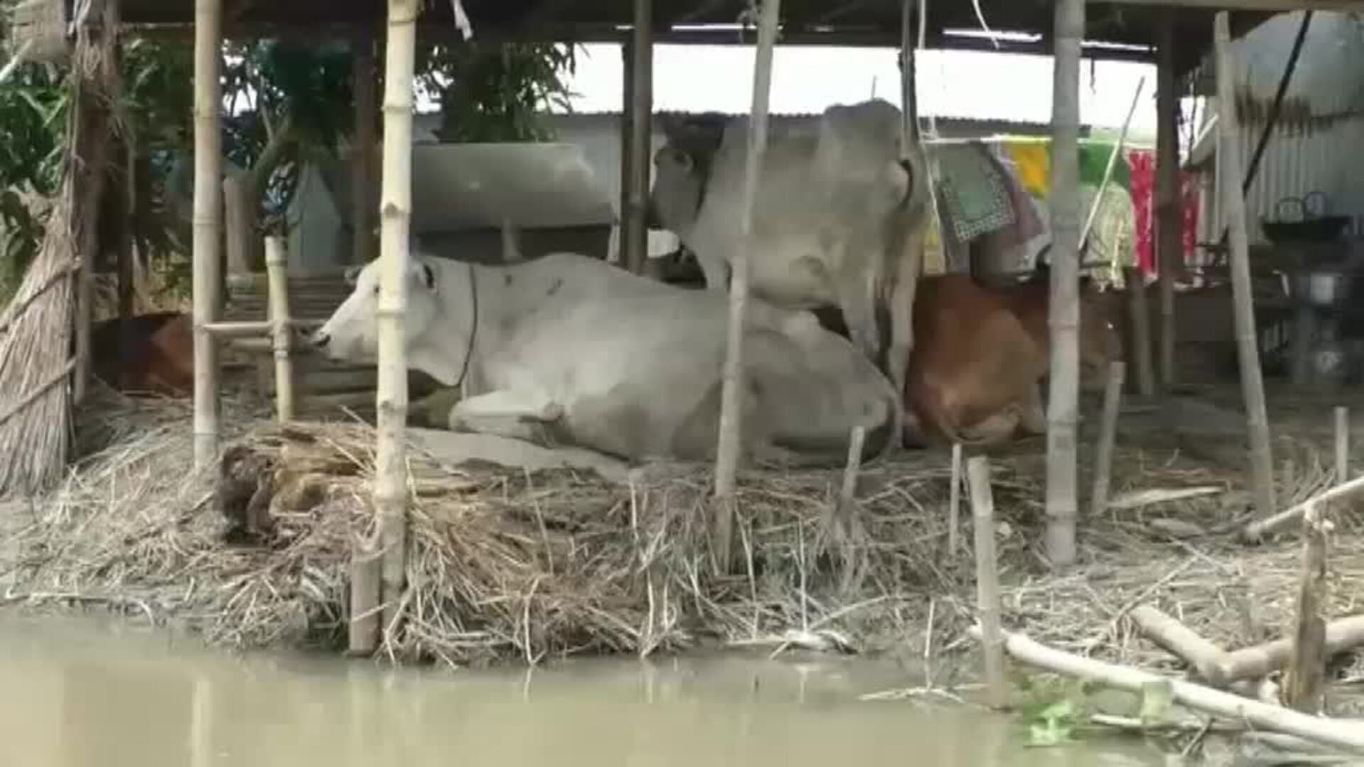 Bangladesh se enfrenta a las peores inundaciones monzónicas en dos décadas