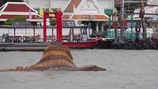 Captan a un Spinosaurus flotando en el río Chao Phraya en Bangkok, como parte de la promoción de 'Jurassic World: El renacer'