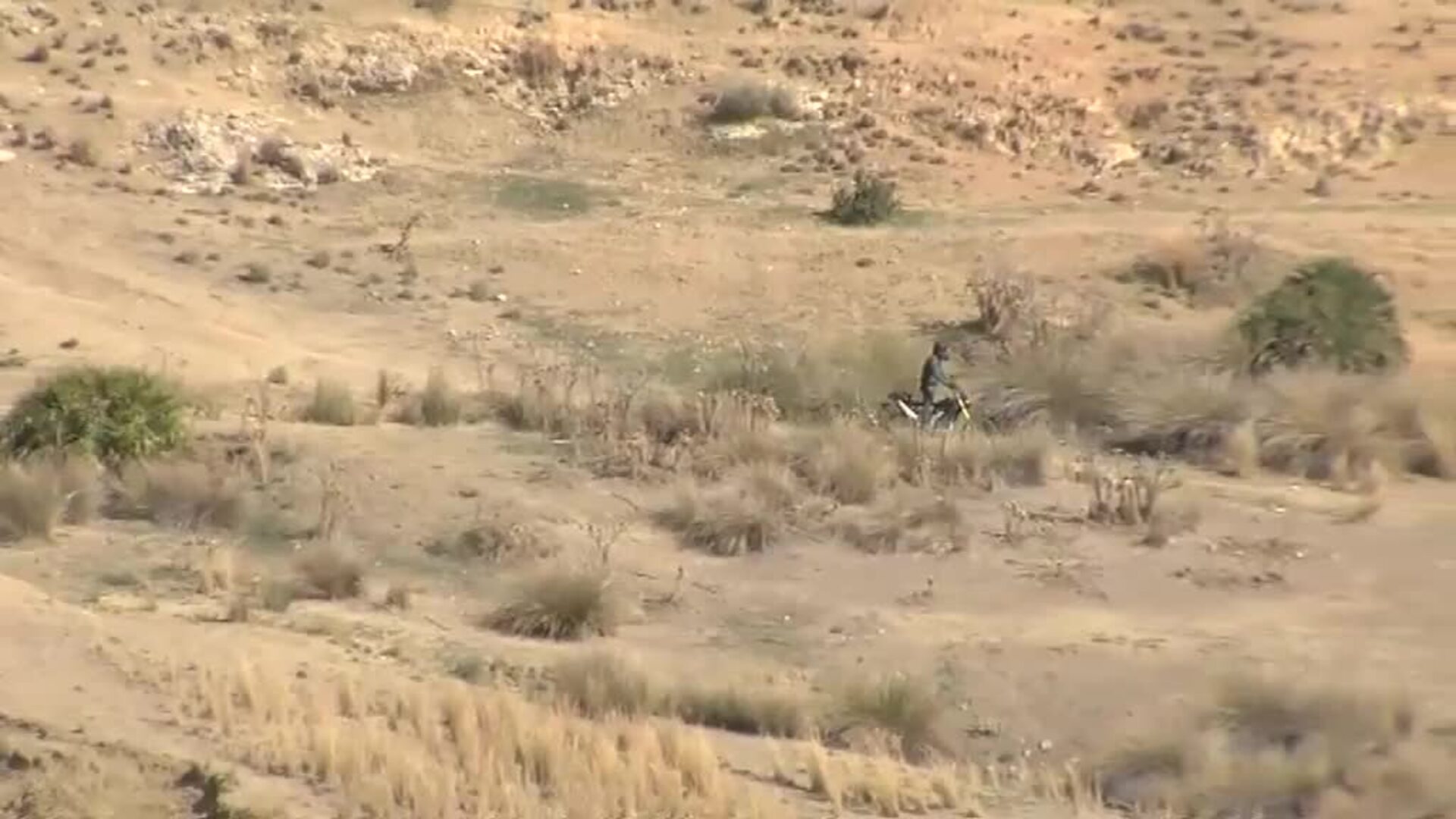 La Guardia Civil retoma la búsqueda de la anciana desaparecida en Carmona