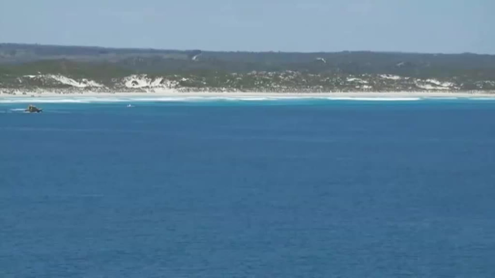 Desaparece un surfista australiano por el ataque de un tiburón