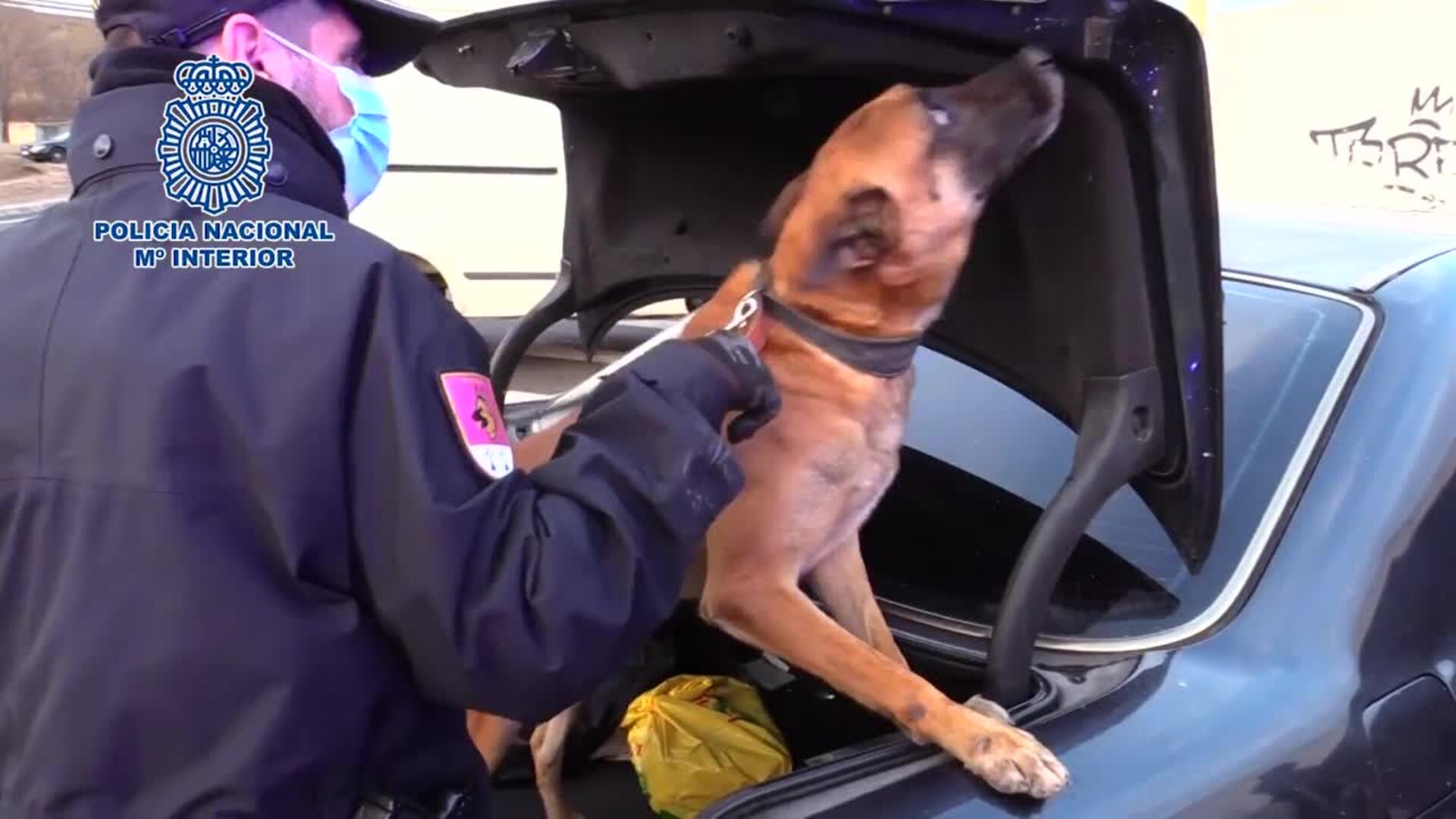 750 identificados y un detenido en una redada en la Cañada Real (Madrid)