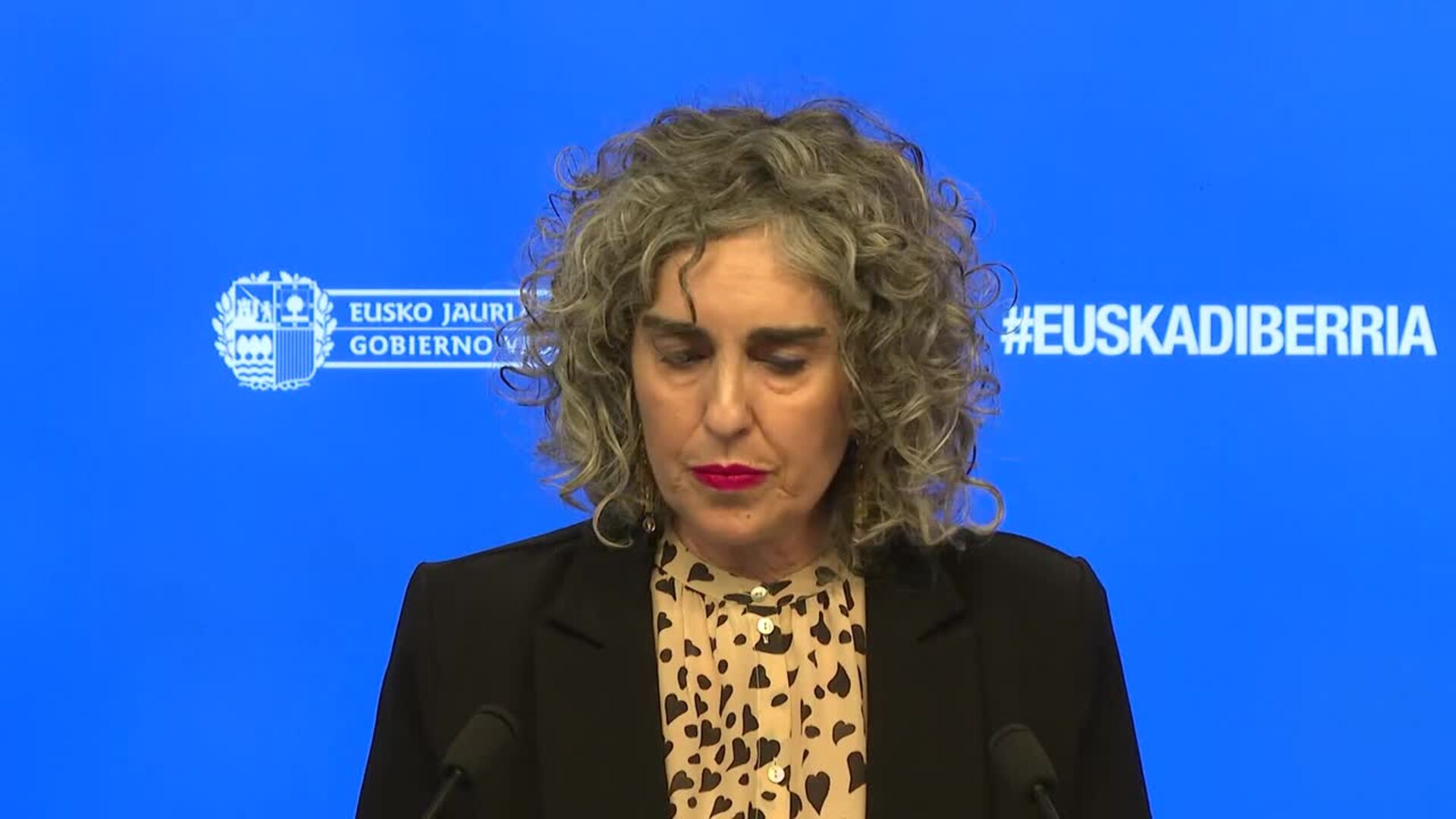 Gobierno Vasco apela al consenso de los partidos para defender el marco jurídico del euskera