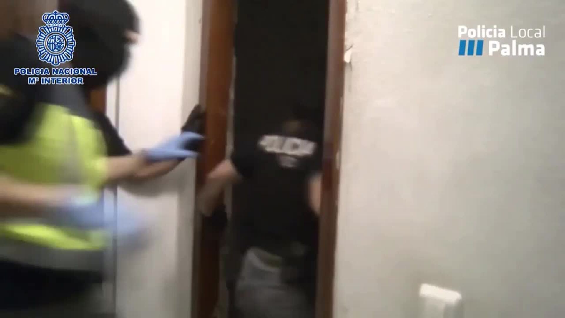 La Policía desmantela una plantación de marihuana en un piso de Palma