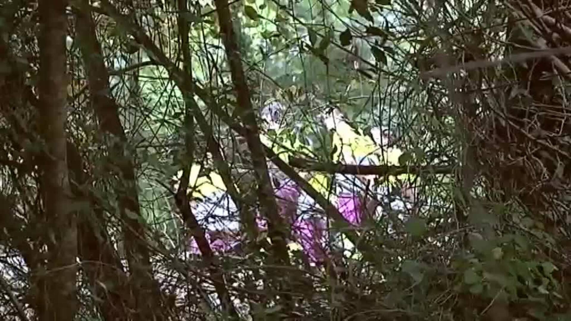 Un tren de pasajeros descarrila en Llanes tras arrollar a un grupo de vacas