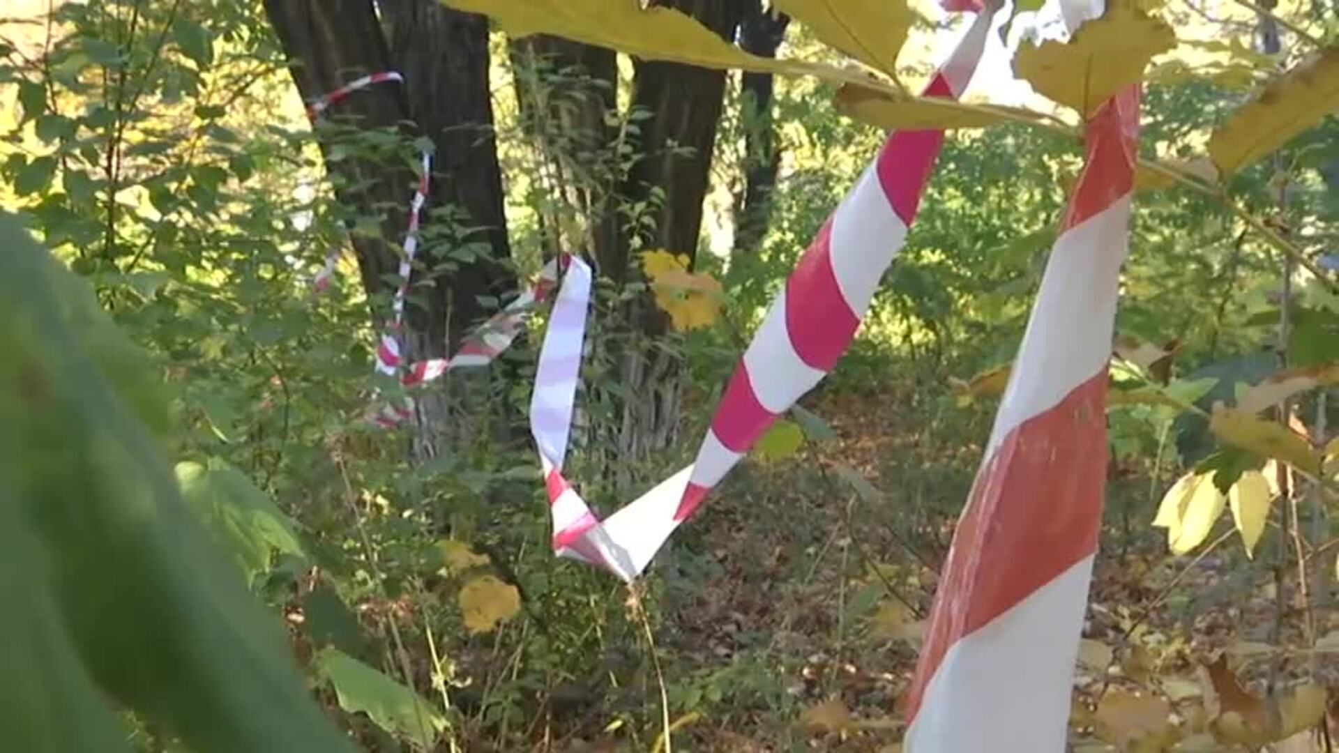 Celebran su boda en un hospital de Ucrania