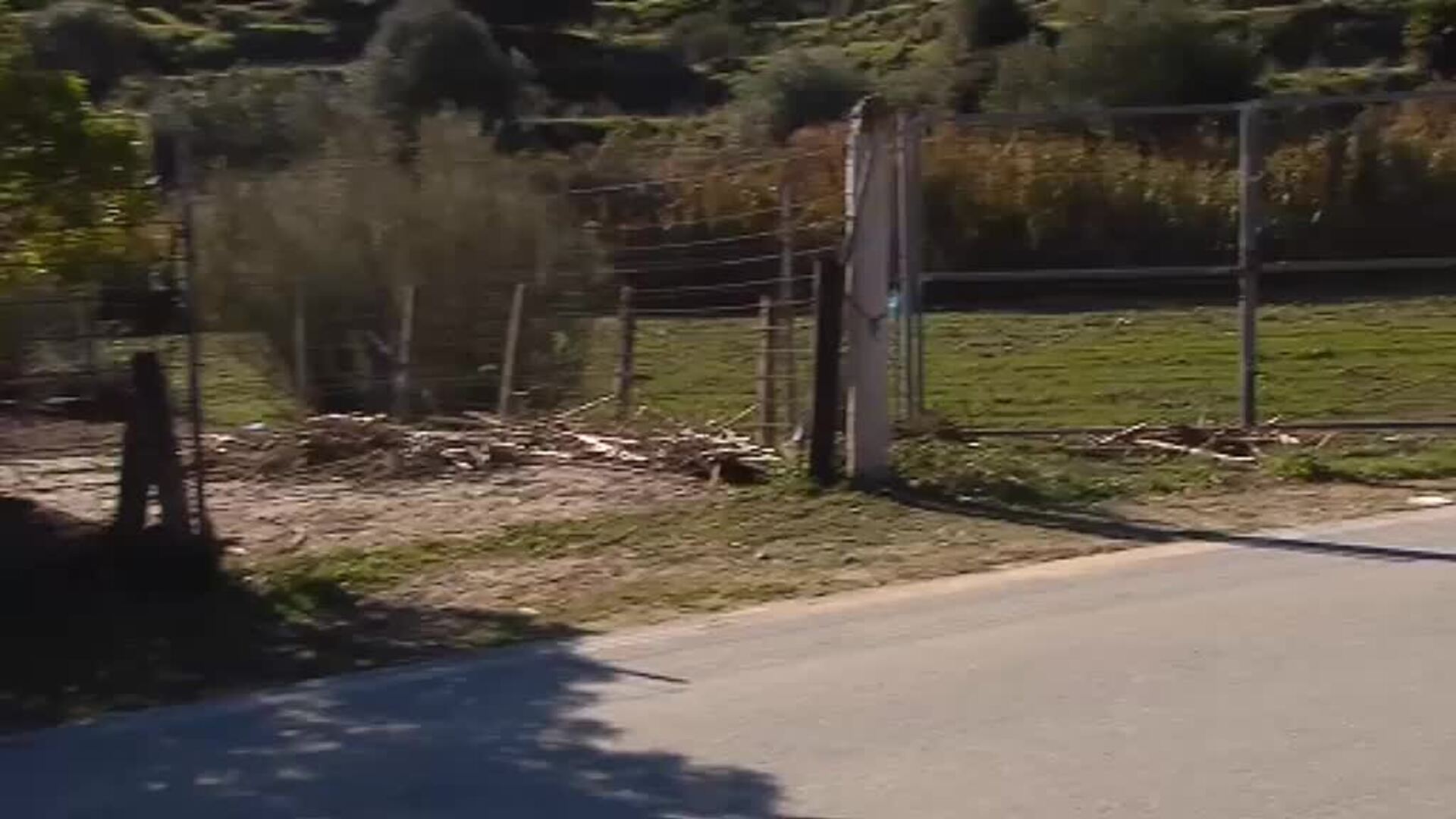 Detienen a cinco posibles cómplices de &#039;El Melillero&#039;