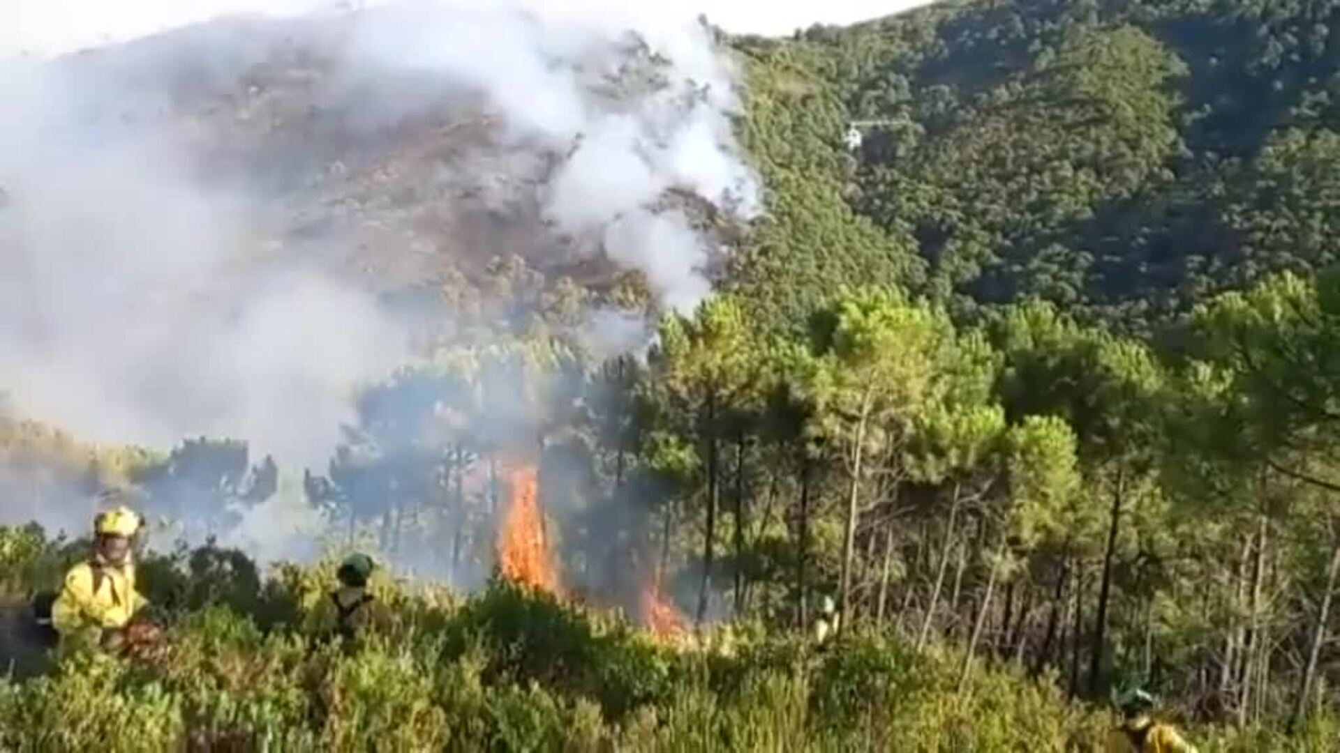 El fuego no da tregua en Málaga