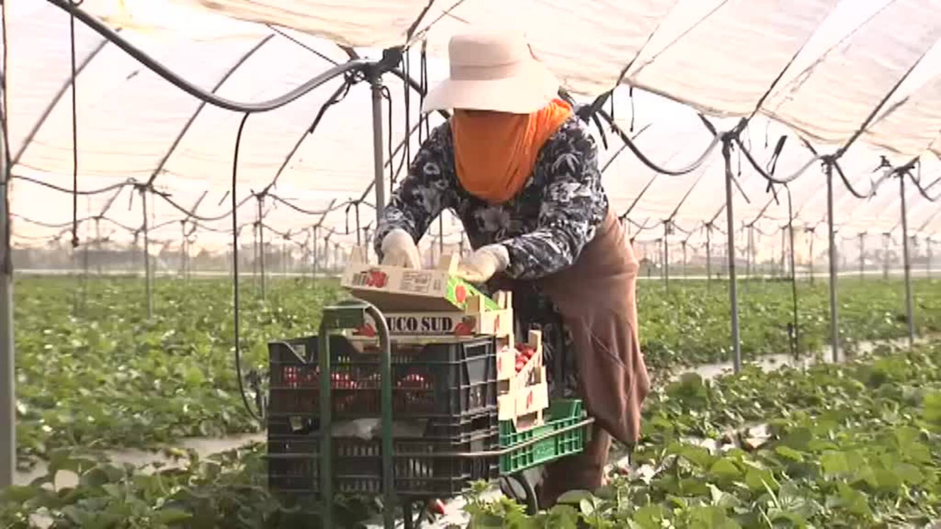 La reforma laboral pone coto a la temporalidad