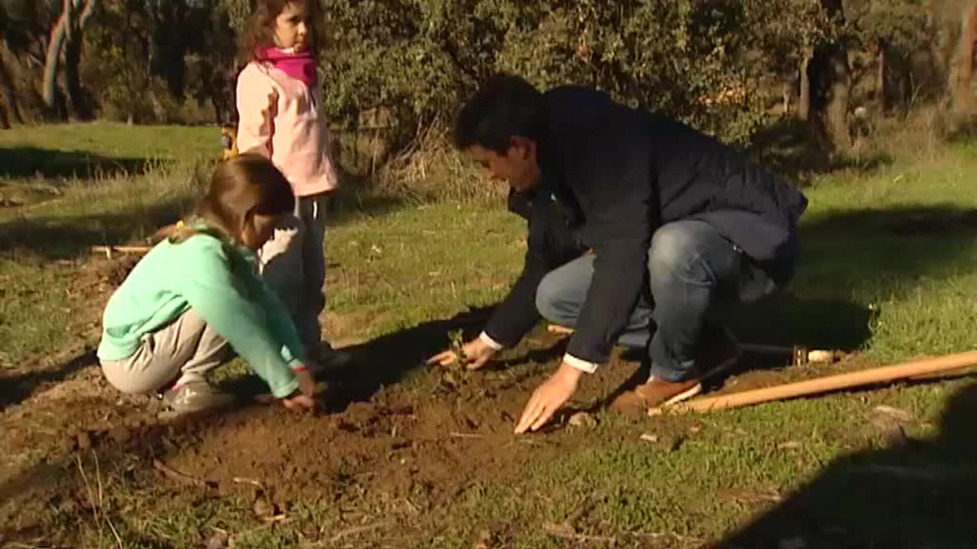 Reforestación solidaria en la Casa de Campo tras el temporal Filomena