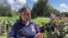 Un proyecto de agroecoturismo empodera a las mujeres rurales de Colombia