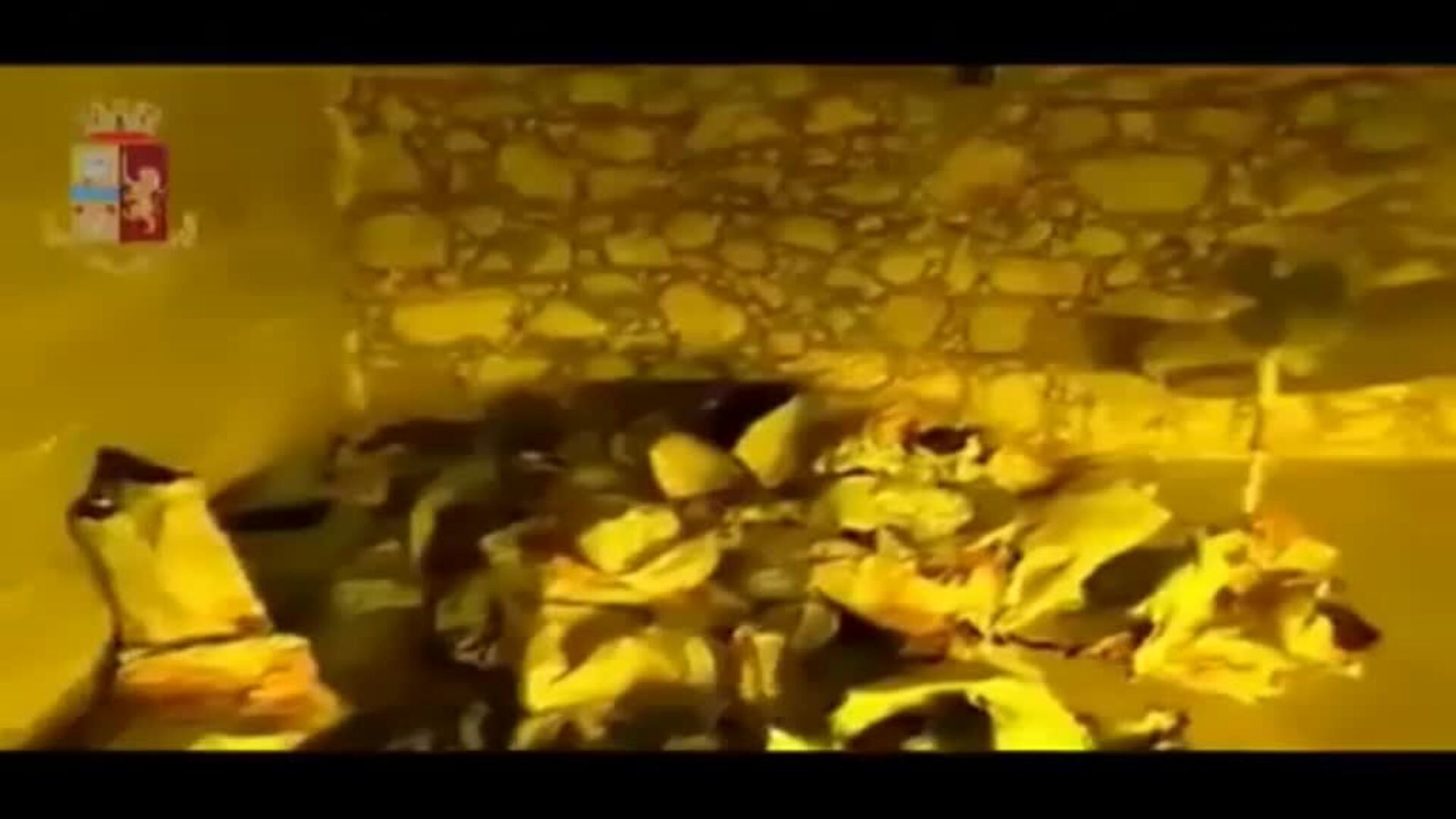 La policía italiana localiza una enorme plantación de marihuana tras la pared de una ducha