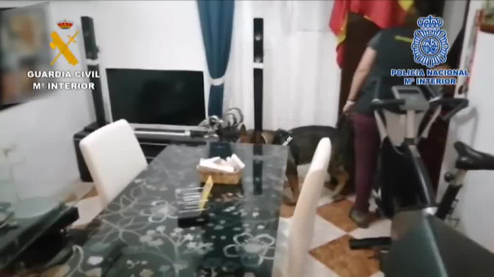 Cae en Sevilla una violenta organización criminal dedicada al cobro de deudas