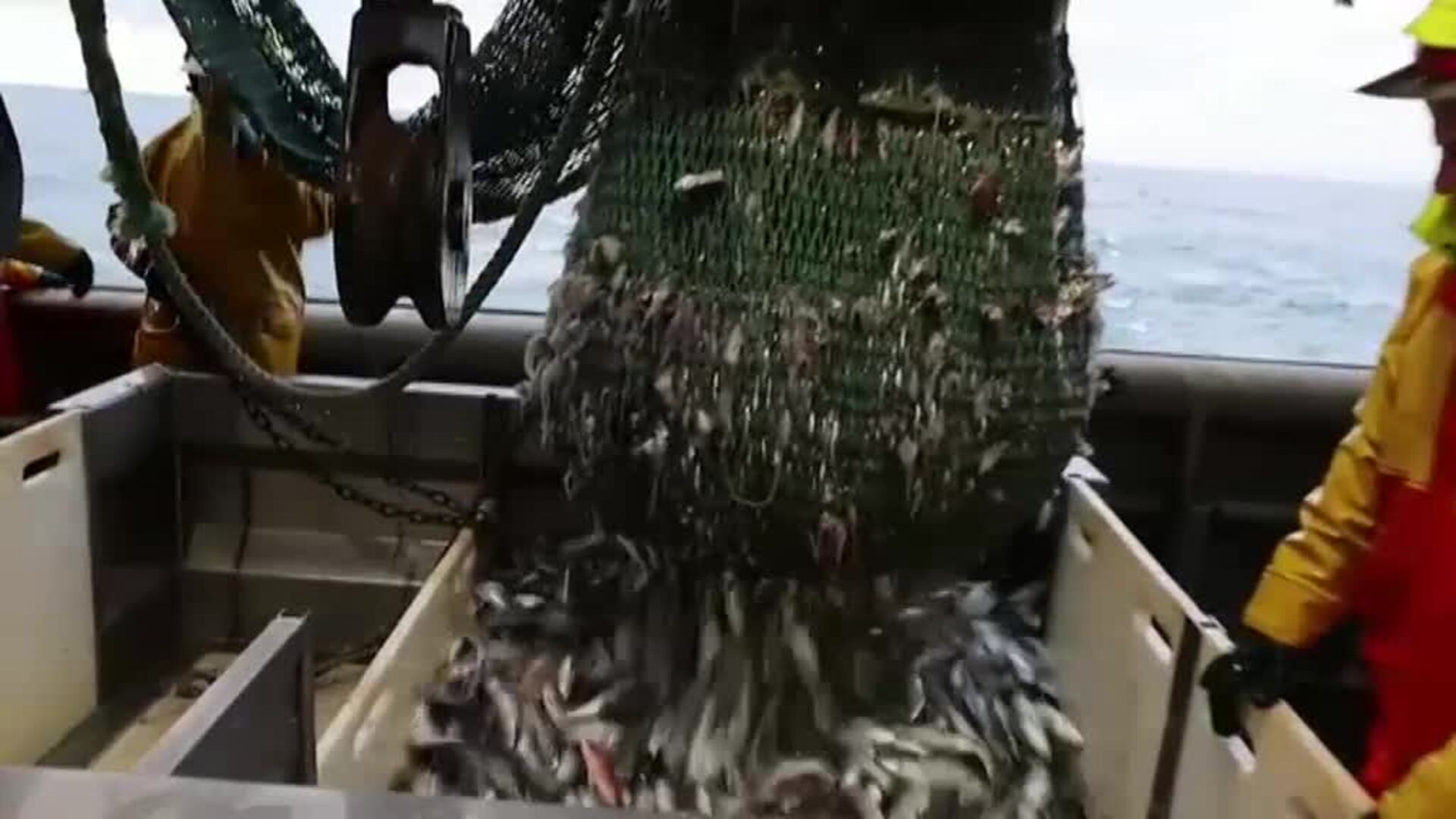 El Brexit ha terminado