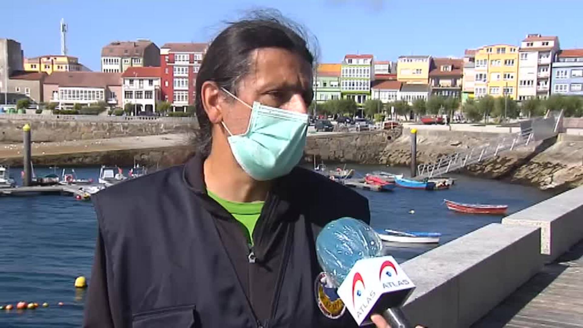 Aumentan los avistamientos de ballenas