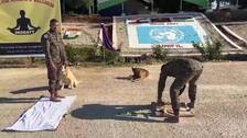 Soldados indios y ciudadanos libaneses celebran el Día Internacional del Yoga