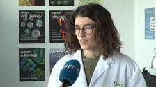 Investigadores replican tumores artificiales para estudiar la eficacia de la inmunoterapia