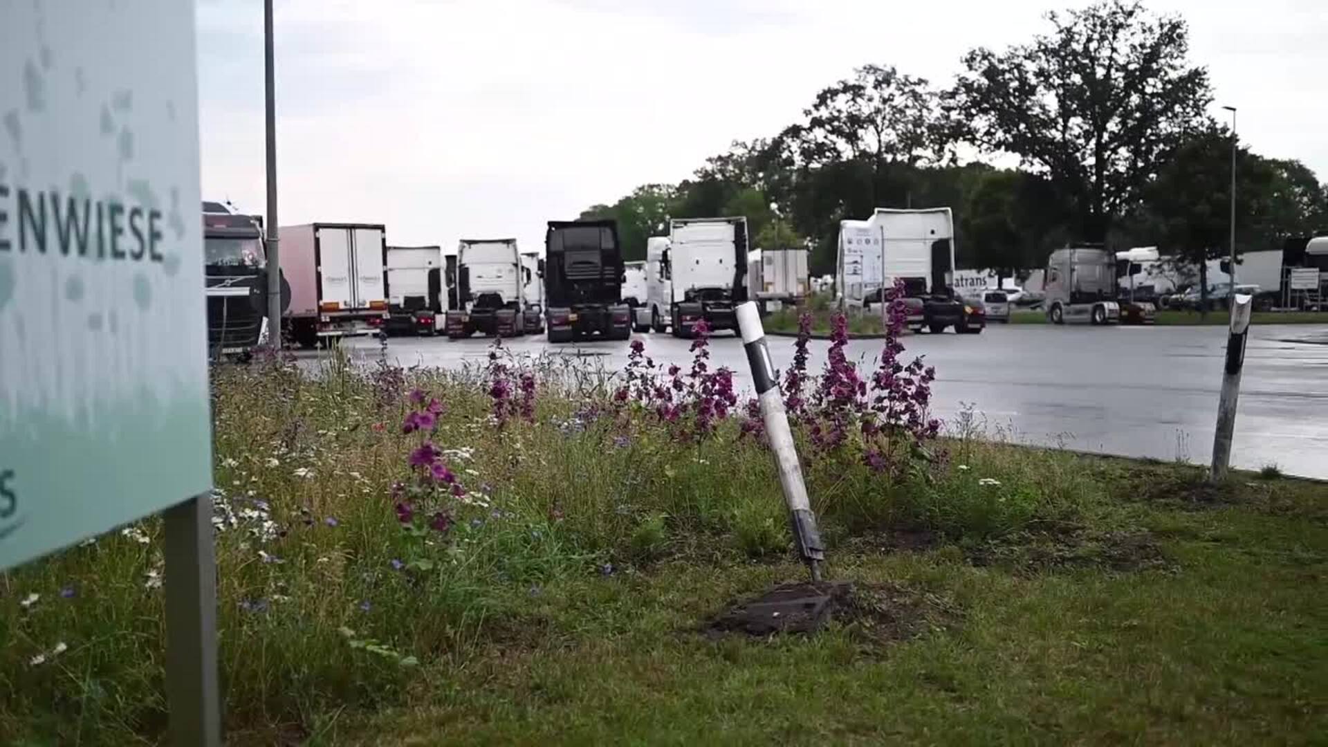 Un matadero de Alemania informa de que 400 trabajadores han dado positivo