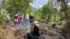 Mujeres indígenas luchan contra la crisis climática y salvan las abejas en el sureste de México