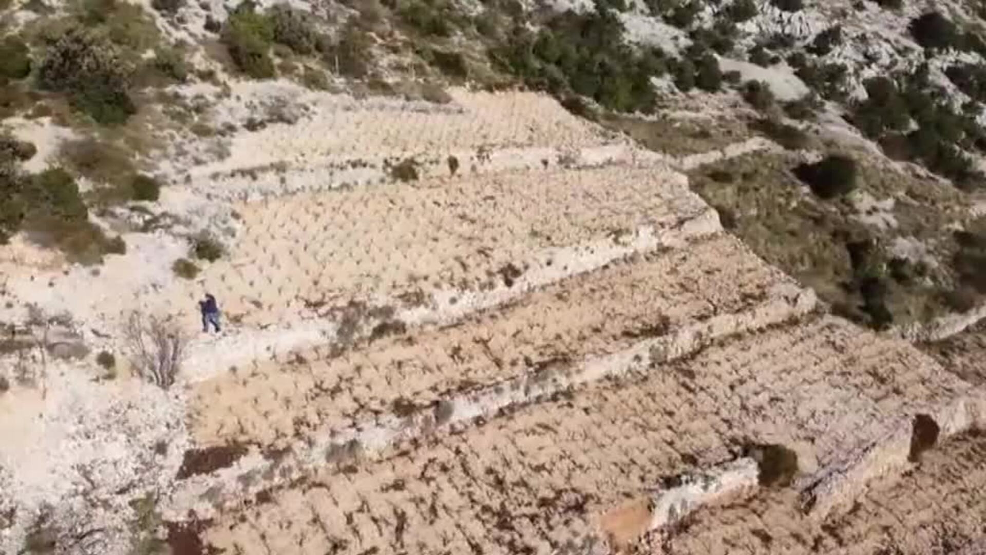 De las cálidas tierras mediterráneas de Croacia a la mesa del líder del mundo en Washington