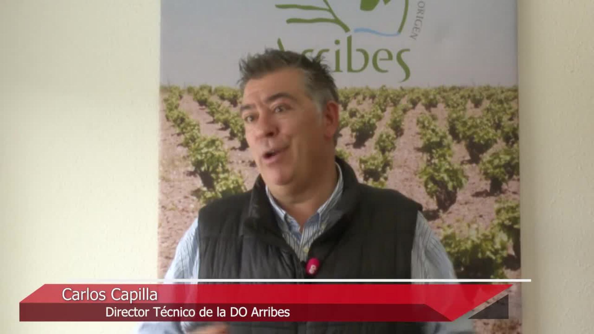 CyL recupera variedades de cepas minoritarias para "mirar al futuro" con sus vinos