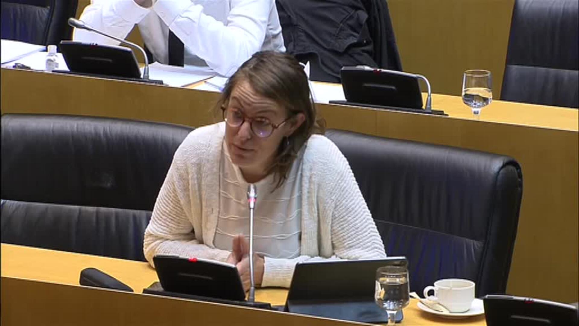 Mireia Vehí (CUP) a Cañizares: &quot;Saque los rosarios de nuestros ovarios&quot;