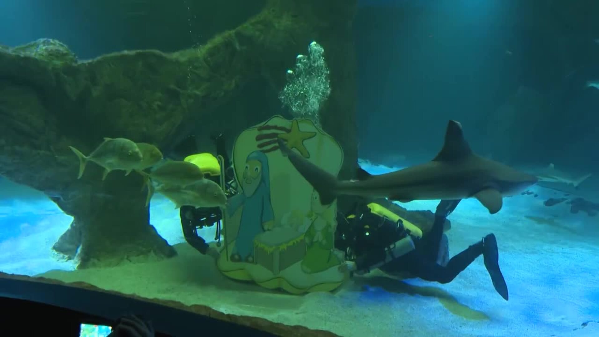 Los GEAS de la Guardia Civil instalan el belén acuático del Zoo