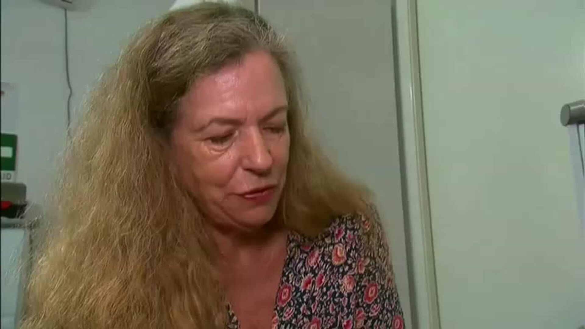 El koala rescatado del fuego en Australia se reúne con su salvadora