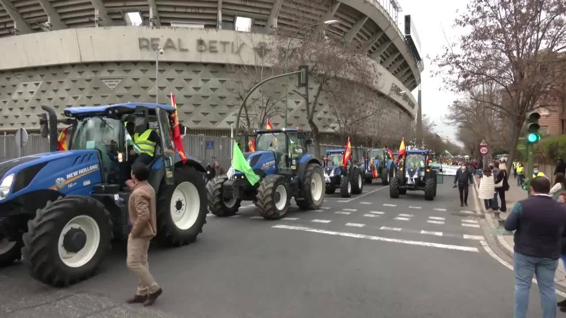 El sector agrario y ganadero andaluz se manifiesta en Sevilla
