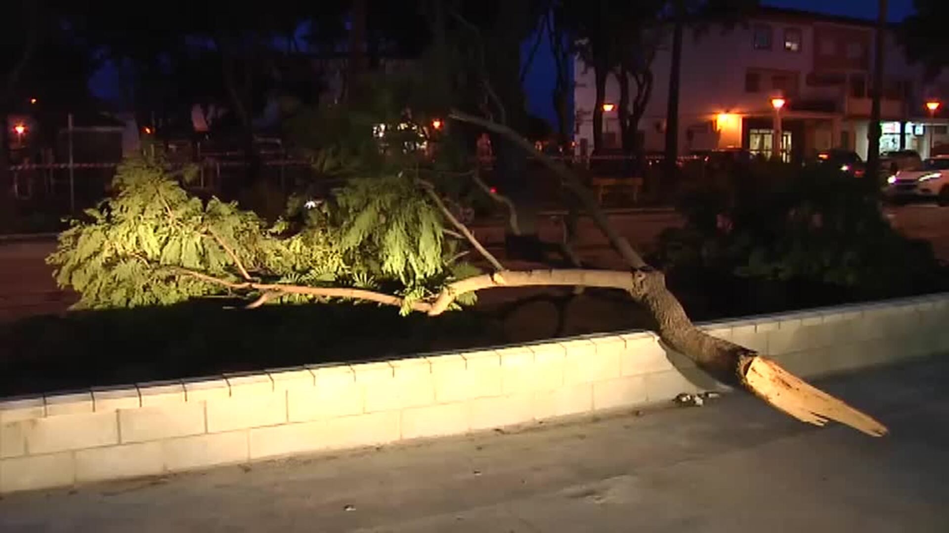 El viento huracanado acompañado de una fuerte tromba de agua desatan el caos en la provincia de Sevilla